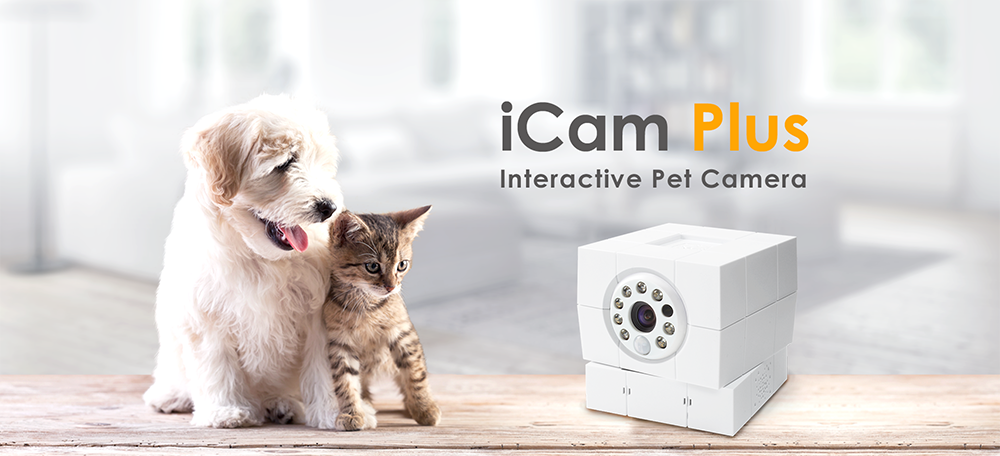 παρακολούθηση κάμερας IP στο σπίτι συν ζώα