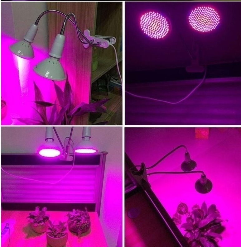 τεχνητό φως για τα φυτά