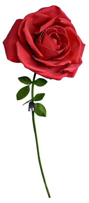 XXL τεράστιο τριαντάφυλλο - Τριαντάφυλλα ως δώρο για μια γυναίκα